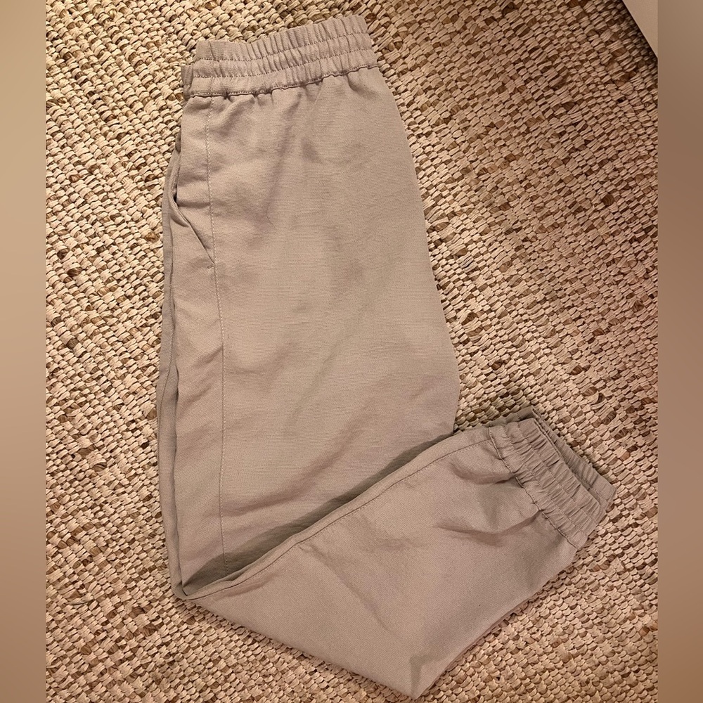 Aritzia Wilfred Pant